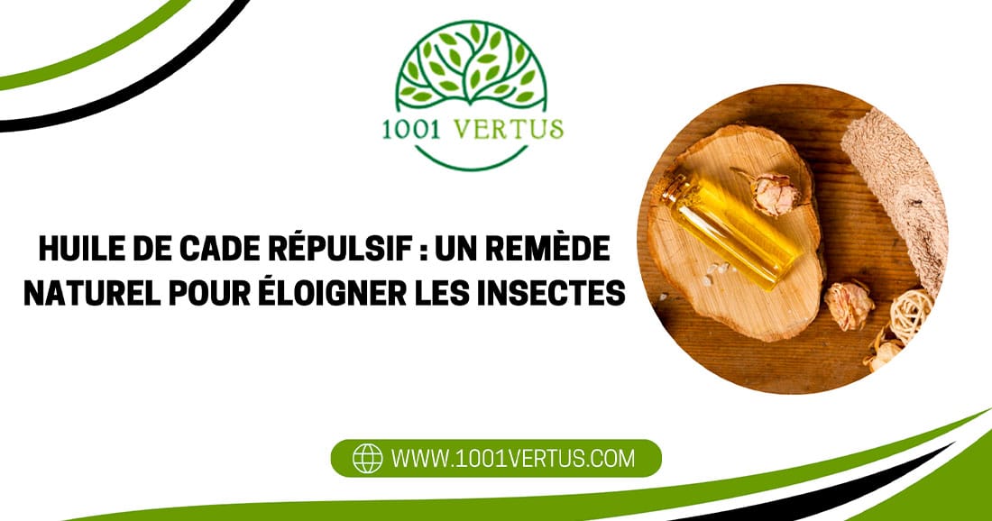 Répulsif lézard : utiliser les huiles essentielles pour éloigner ces animaux